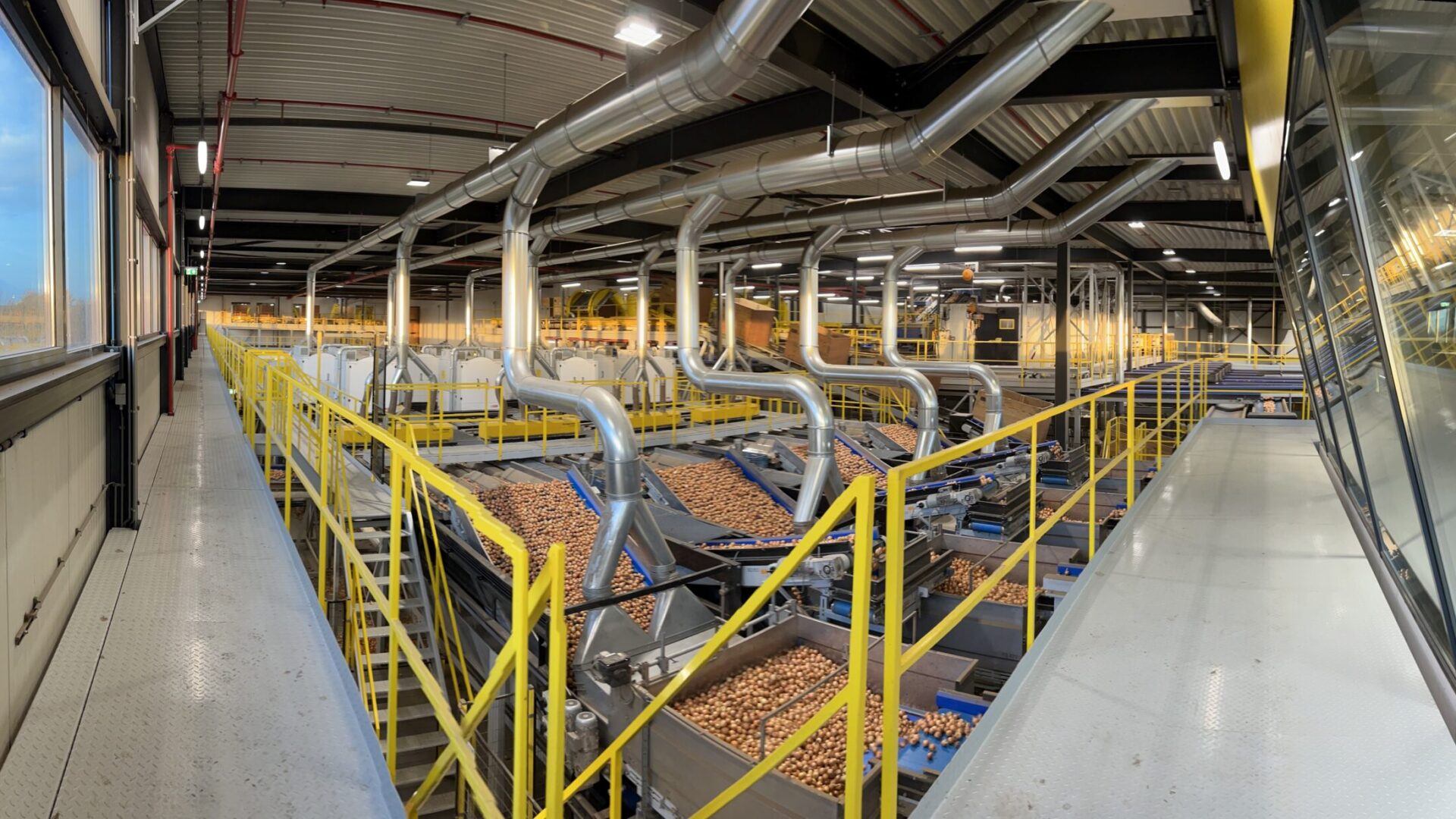 MSP Onions Nieuwdorp
