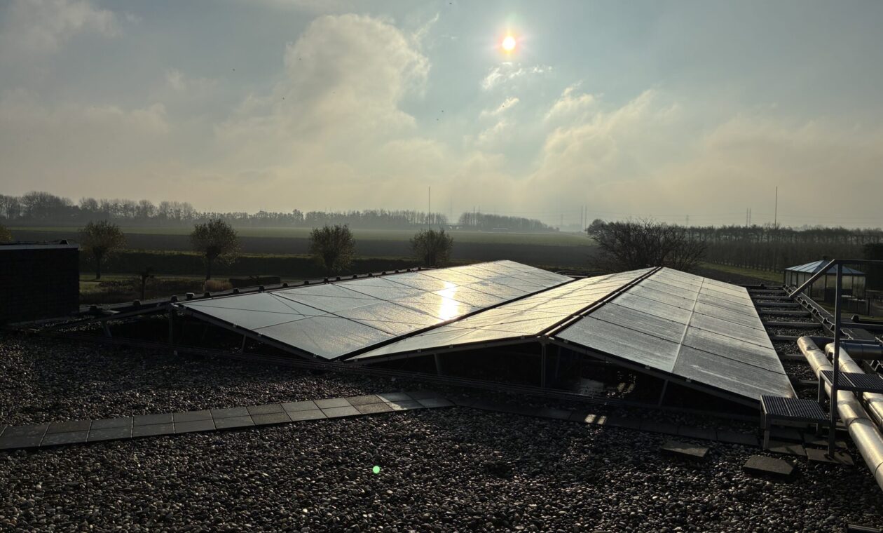 Revant Lindenhof Goes