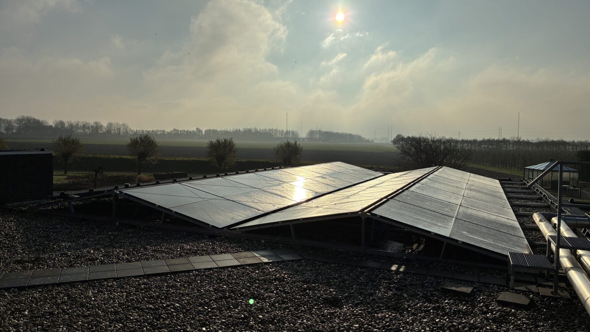 Revant Lindenhof Goes