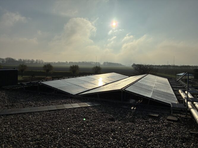 Revant Lindenhof Goes